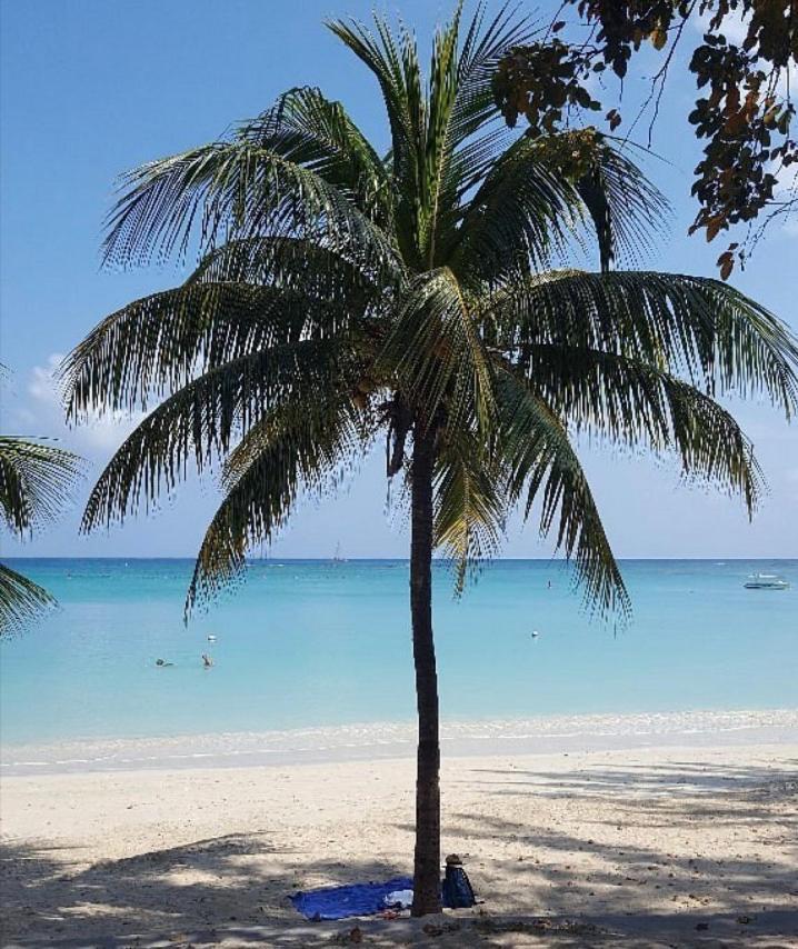 Happiness Villa 3 Bedroom Luxury Villa With Private Pool, Near All Amenities And Beaches Mauritius 그란데 바이예 외부 사진